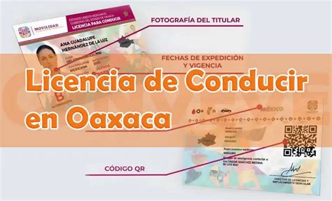 ᐈ Licencia de Conducir en Oaxaca 2024 ️